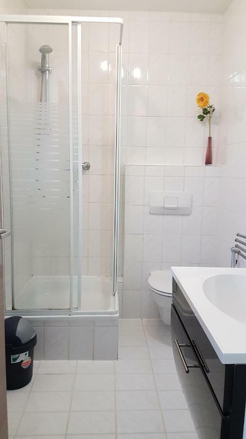 Flats-4U - Cosy, Quite & Clean Apartments In The City Bonn Extérieur photo
